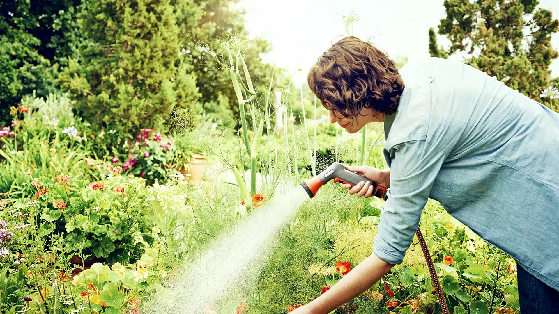 Benefícios da Jardinagem