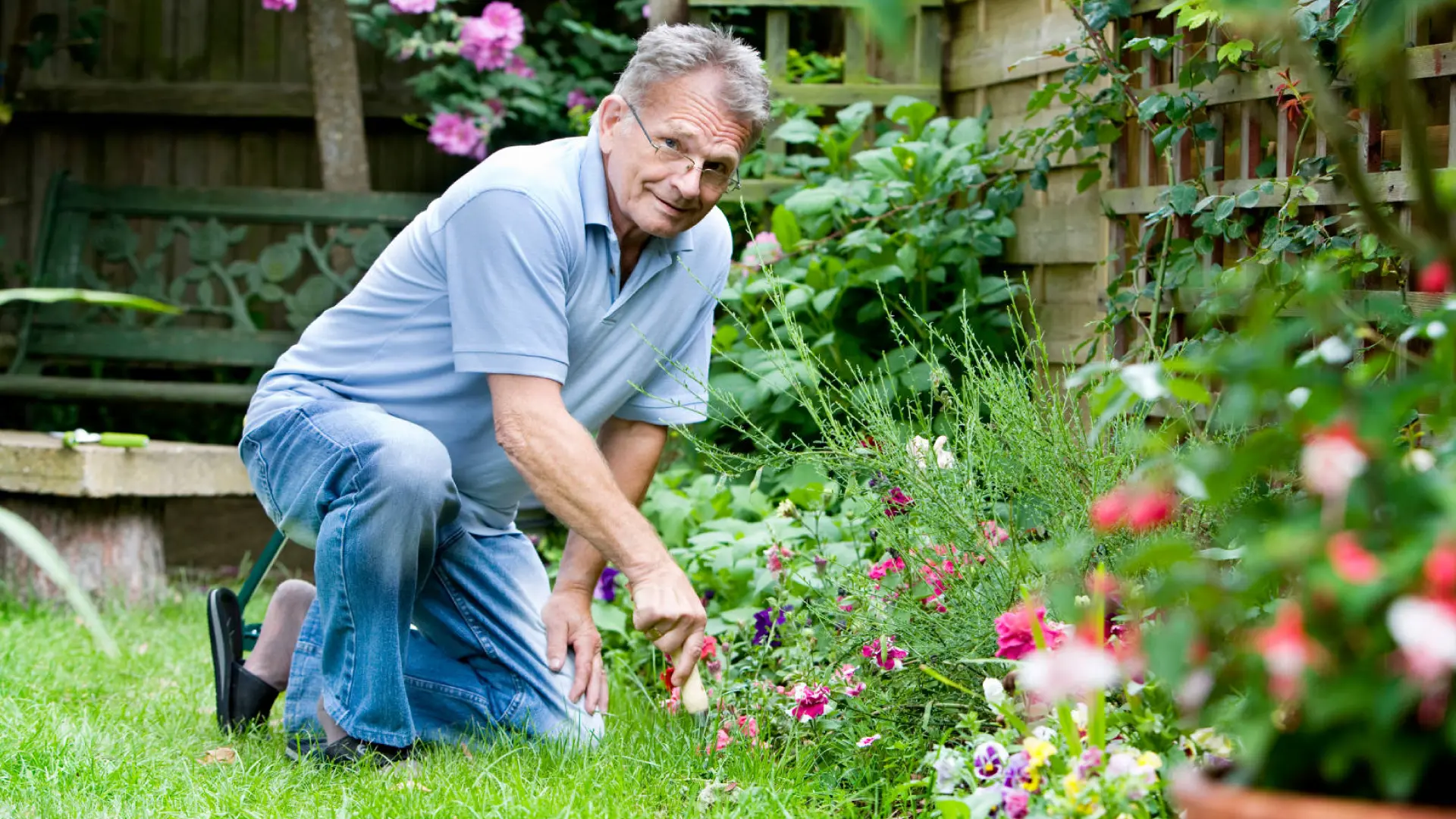 Educação e Recursos para Jardinagem