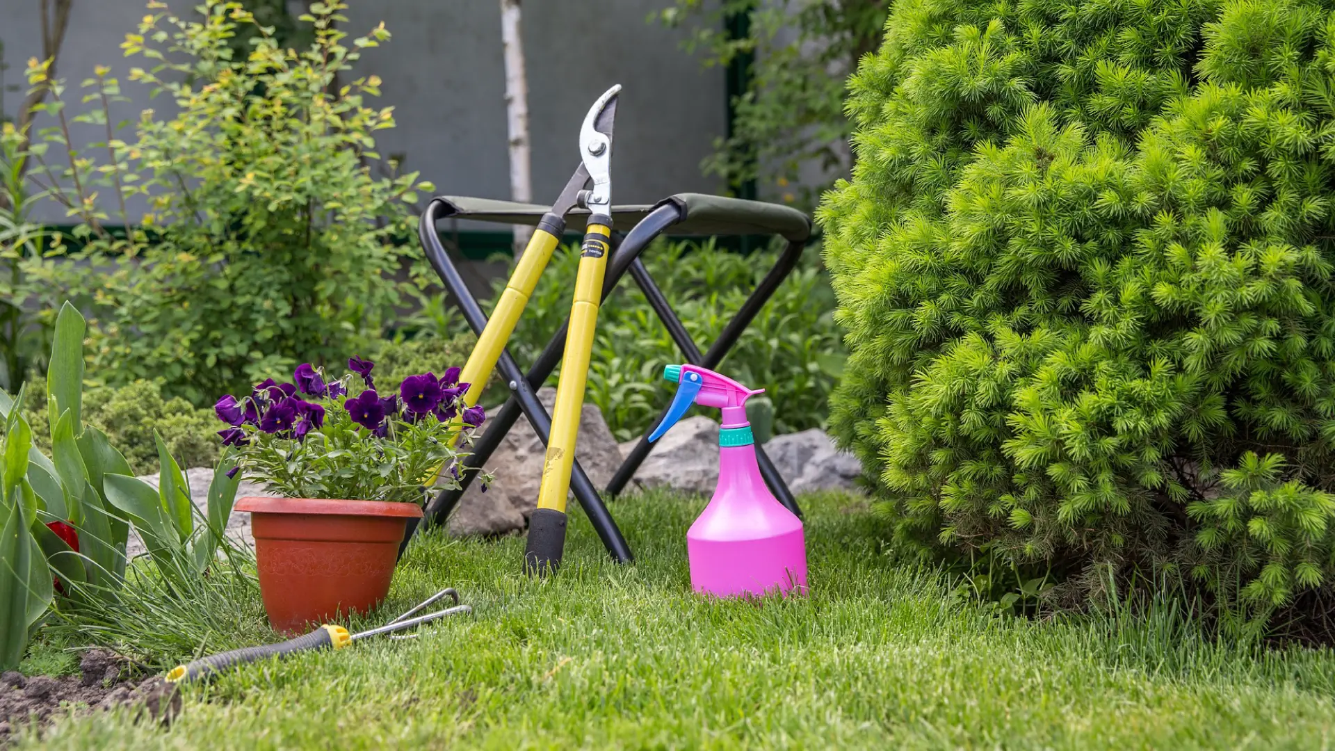 Ferramentas Essenciais para Jardinagem