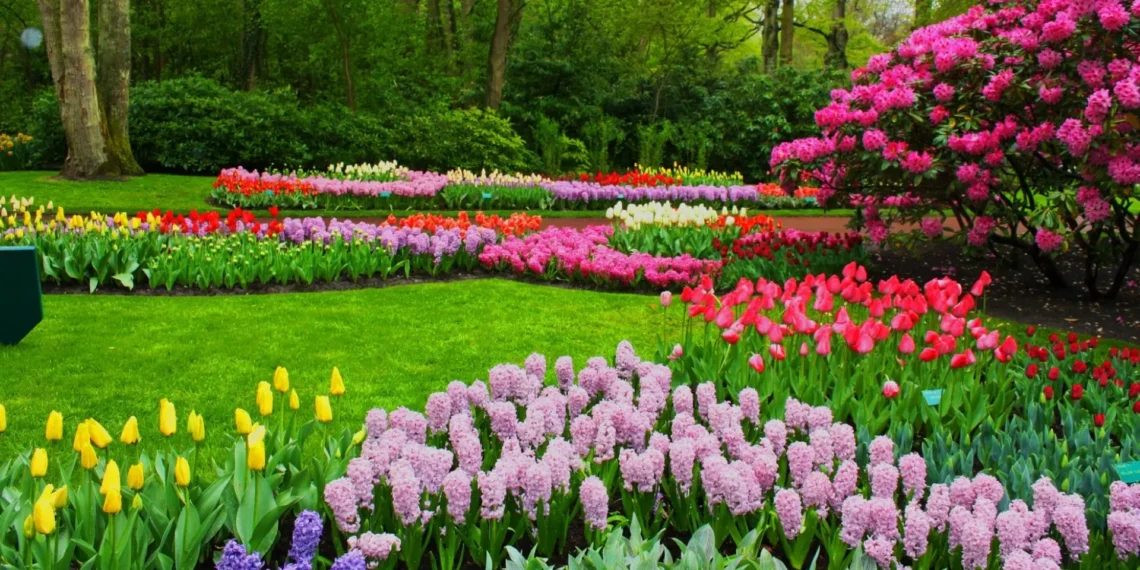 Jardinagem: Guia Completo para Iniciantes e Entusiastas