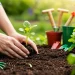 Pare de Matar Plantas: 6 Dicas Infalíveis de Jardinagem. - Clique para ver mais detalhes Pare de Matar Plantas: 6 Dicas Infalíveis de Jardinagem.