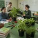 Qual Curso Fazer para Trabalhar com Jardinagem? - Clique para ver mais detalhes Qual Curso Fazer para Trabalhar com Jardinagem?