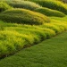 Qual e a Melhor Grama para Jardim? - Clique para ver mais detalhes Qual e a Melhor Grama para Jardim?