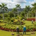 Quanto Custa a Mão de Obra para Jardinagem? - Clique para ver mais detalhes Quanto Custa a Mão de Obra para Jardinagem?