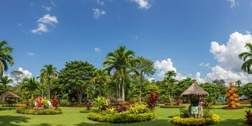 Quais Os Tipos de Paisagismo que Existem?