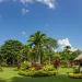 Quais Os Tipos de Paisagismo que Existem? - Clique para ver mais detalhes Quais Os Tipos de Paisagismo que Existem?